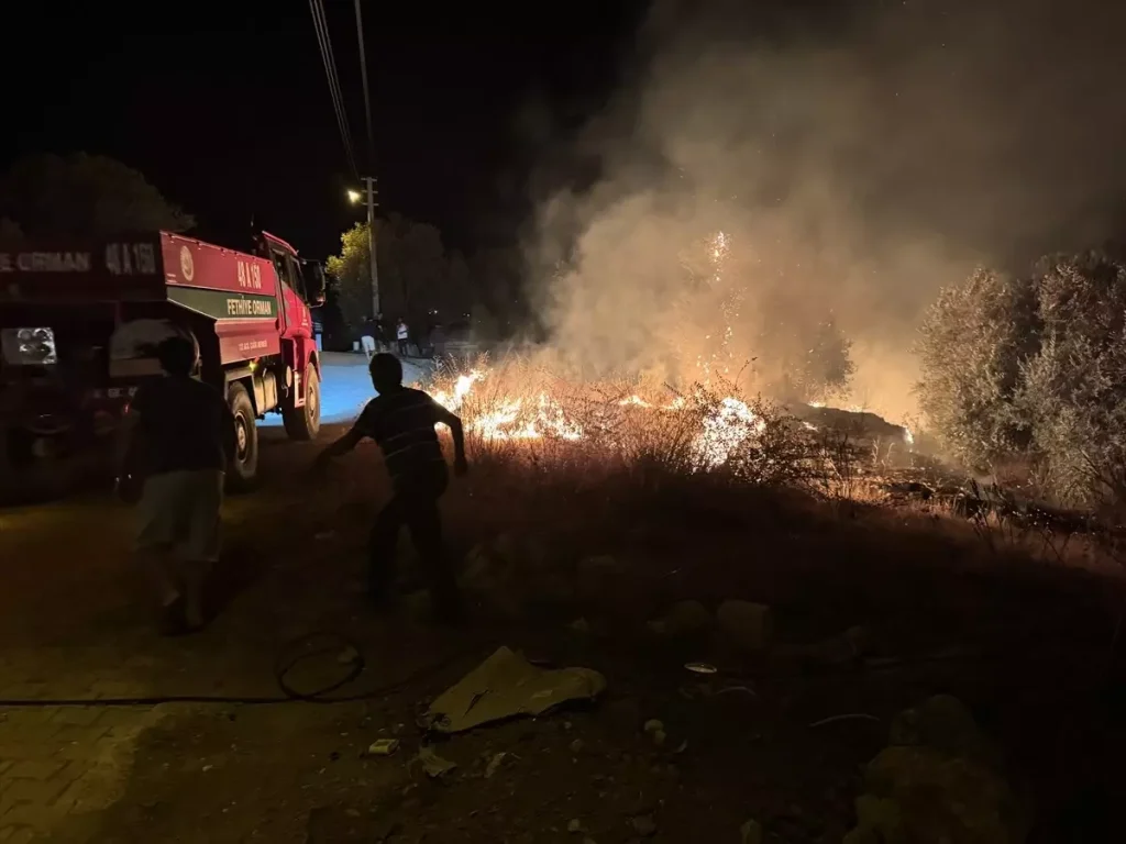 Fire in Fethiye Olive Grove and Maquis Forest Extinguished