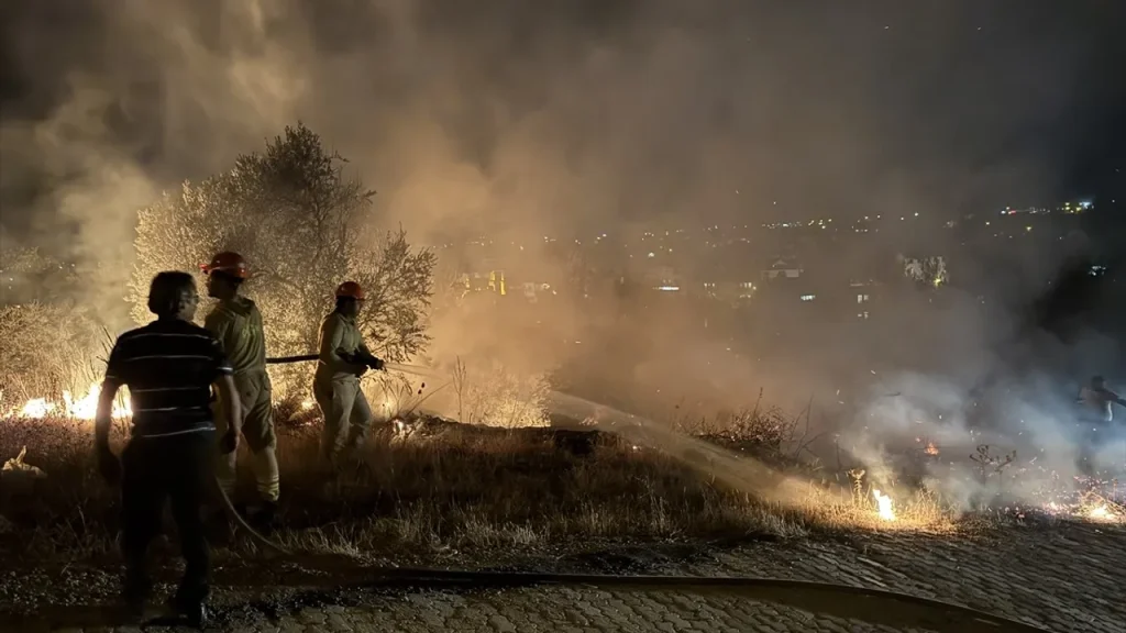 Fire in Fethiye Olive Grove and Maquis Forest Extinguished