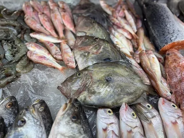 Season Begins, Fethiye Fish Market Prices Drop