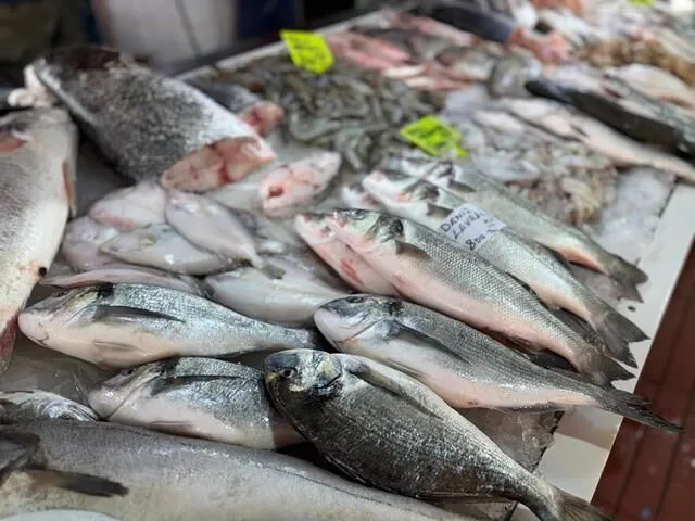 Season Begins, Fethiye Fish Market Prices Drop