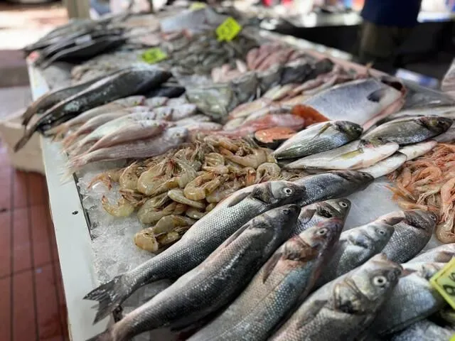 Season Begins, Fethiye Fish Market Prices Drop