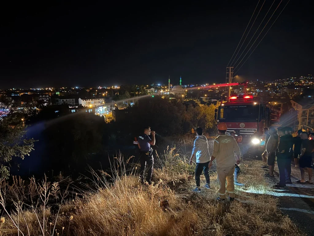 Fire in Fethiye Olive Grove and Maquis Forest Extinguished