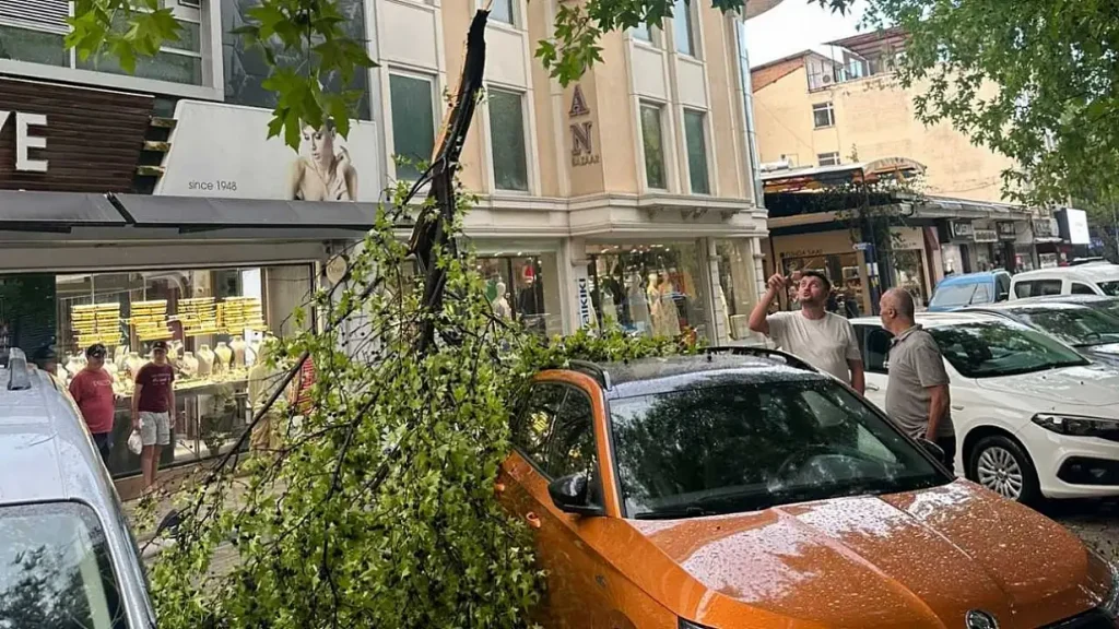 Storm Snaps Tree Branches in Two Separate Incidents Across Fethiye
