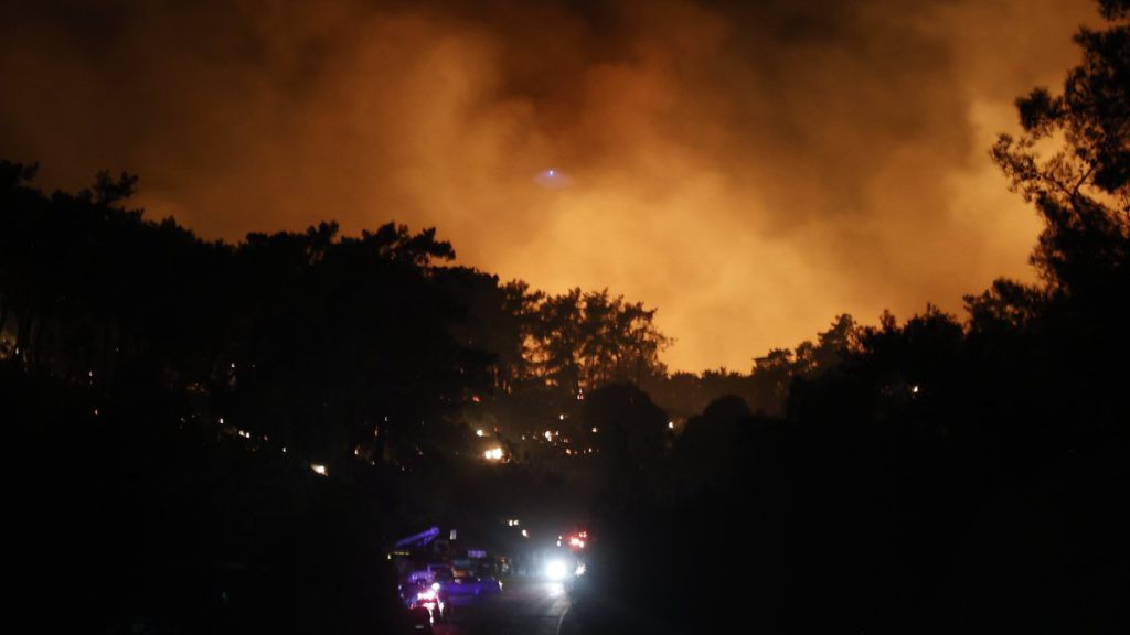 Turkey Faces One of Its Worst Forest Fire Seasons in Years
