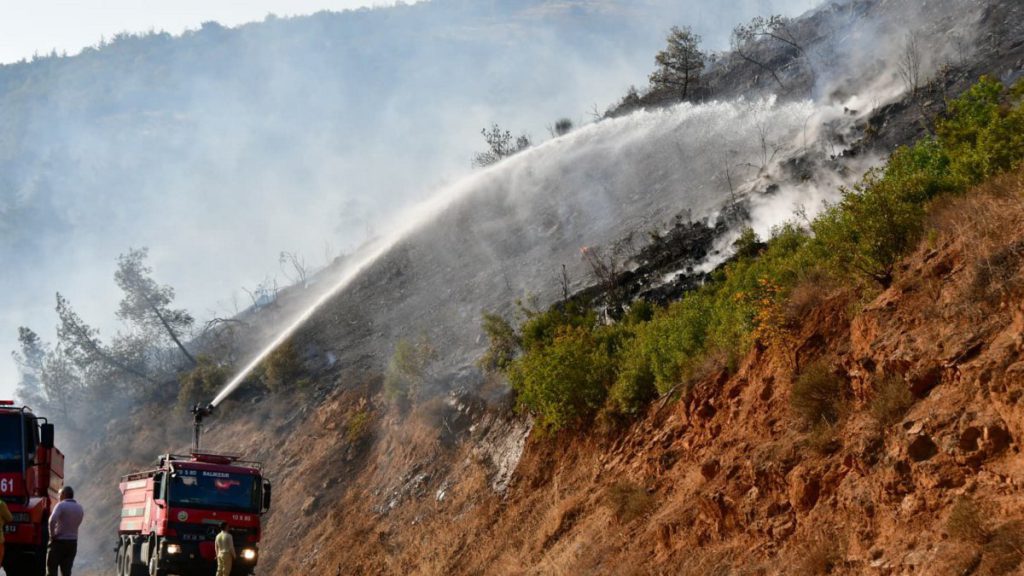 AI Systems Boost Efficiency in Fighting Forest Fires