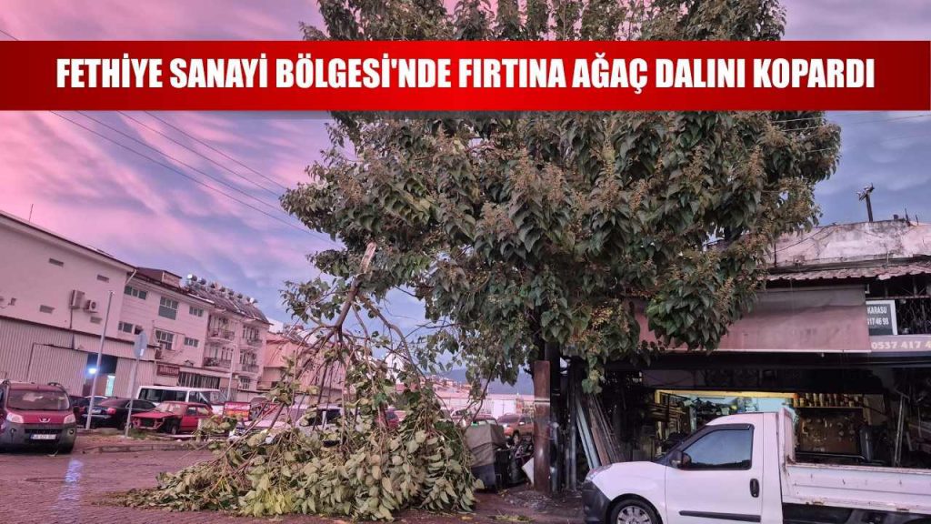 Storm Snaps Tree Branches in Two Separate Incidents Across Fethiye