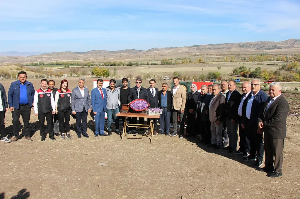 Saffron, the World’s Most Expensive Spice, Sells for 500 TL per Gram