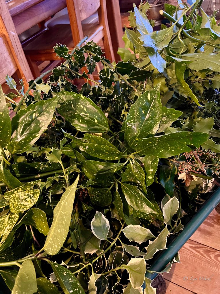 Making a Cornish Kissing Wreath