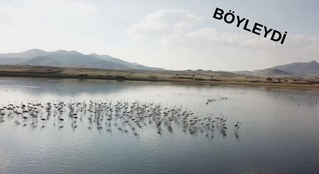 Karataş Lake Turns to Dry Soil Amid Severe Drought