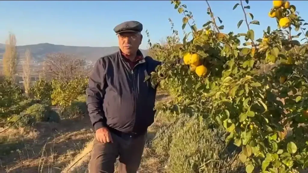 Quinces and Lavender Turn Into Scholarships for Students