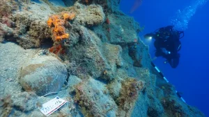 Ancient Anchorage and Shipwrecks Discovered Off Fethiye Coast Excite Underwater Archaeologists