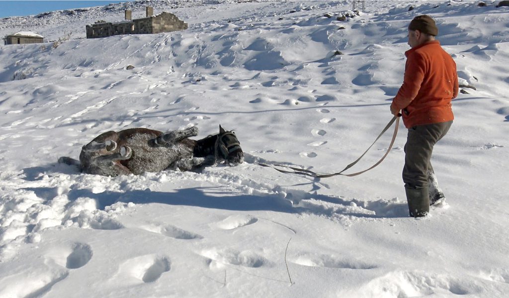 Harsh winter conditions affect daily life in Turkey's Kars