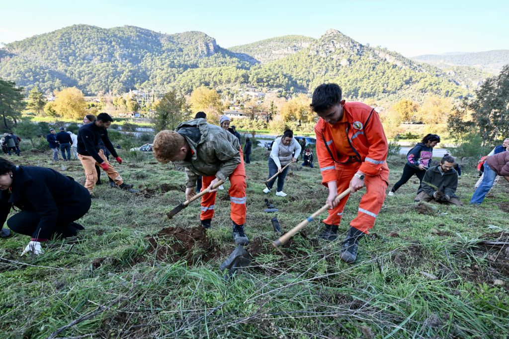 Tree Planting Campaign Unites Community in İnlice to Support a Greener Fethiye