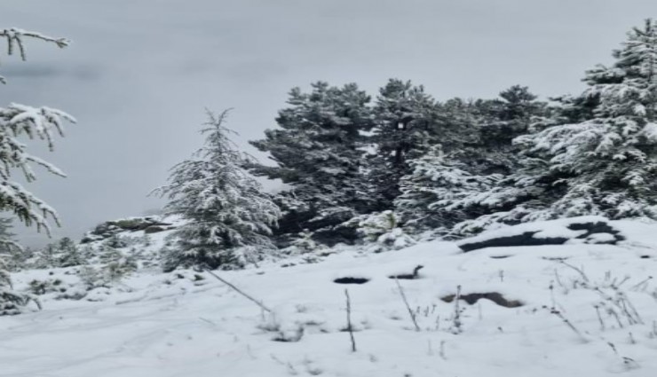 Muğla Welcomes Its First Snowfall of the Season