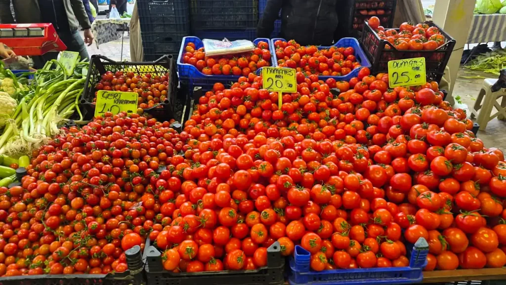 Fethiye Saturday Market Bustles Despite Rain and Cold