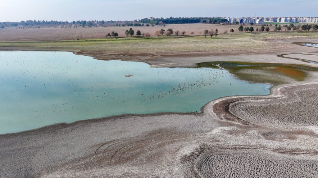Climate Change, Pollution and Invasive Species to Dominate Turkey’s Marine Agenda in 2026