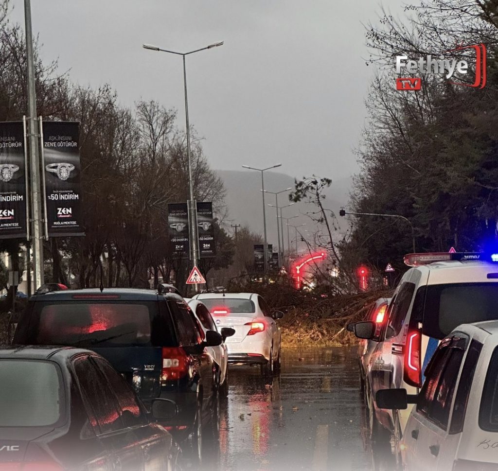 tree uprooted by the storm fell onto Uğur Mumcu Boulevard,