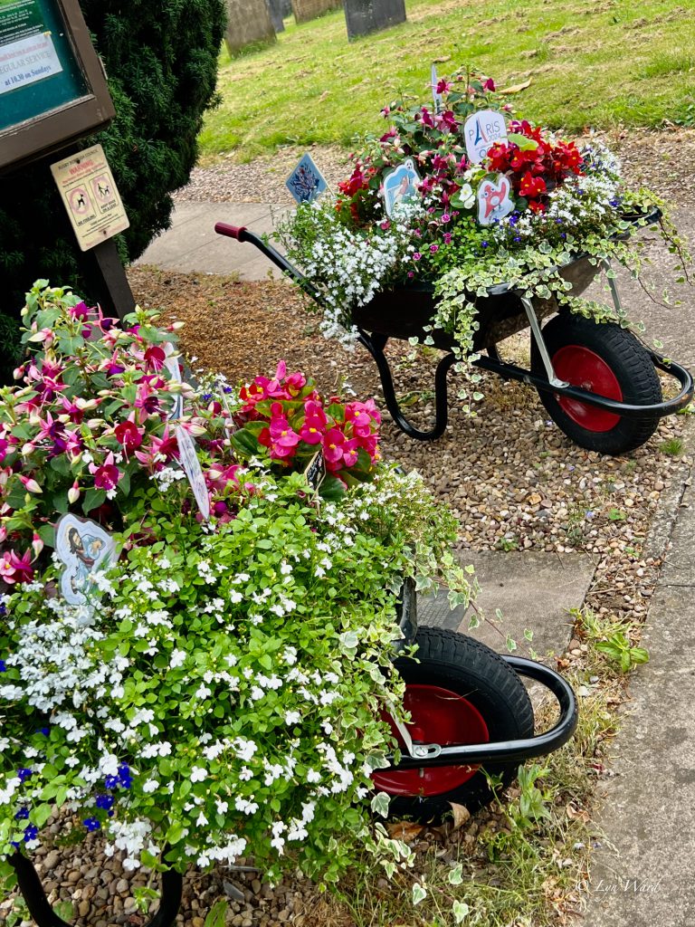 Flower-filled wheelbarrows