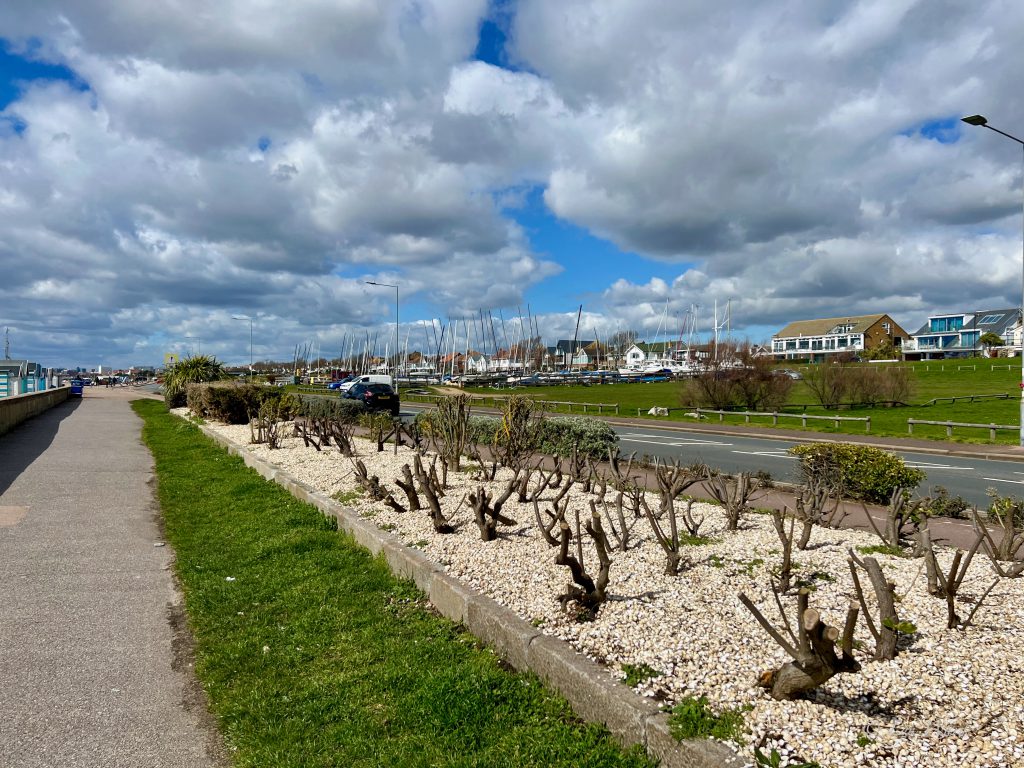 Thorpe Bay Yacht Club