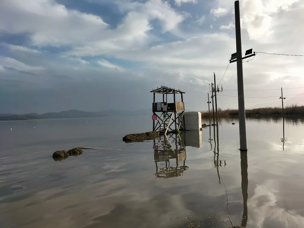 Köyceğiz Lake Overflows, Atatürk Promenade Submerged