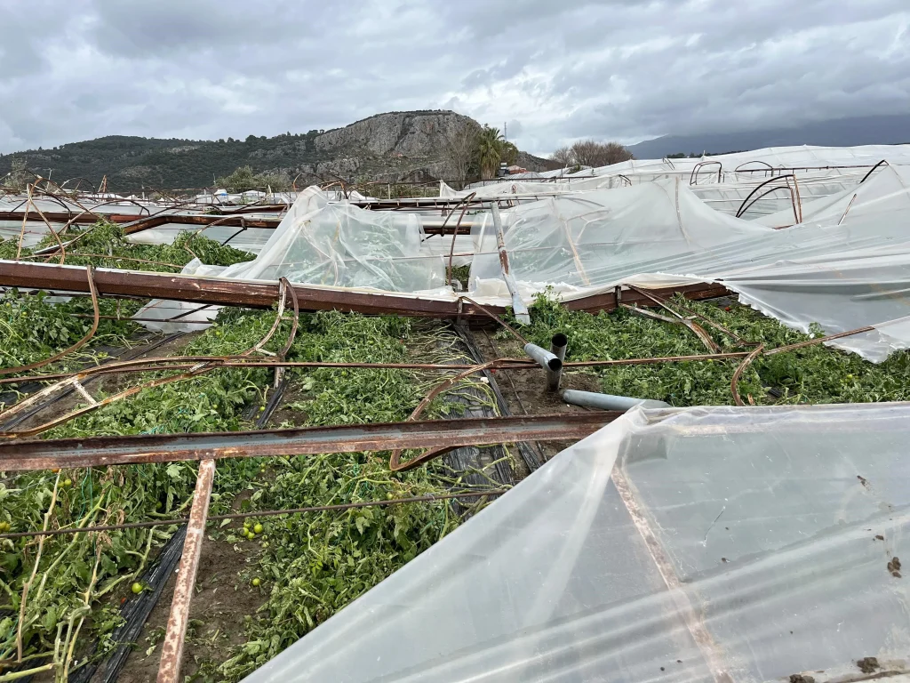 Fethiye Mayor Pledges Support for Farmers After Kumluova Tornado
