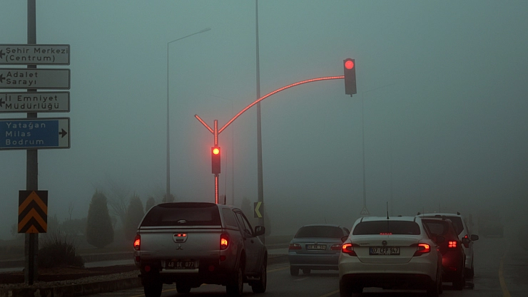 Dense Fog After Rain in Muğla Negatively Affects Transportation