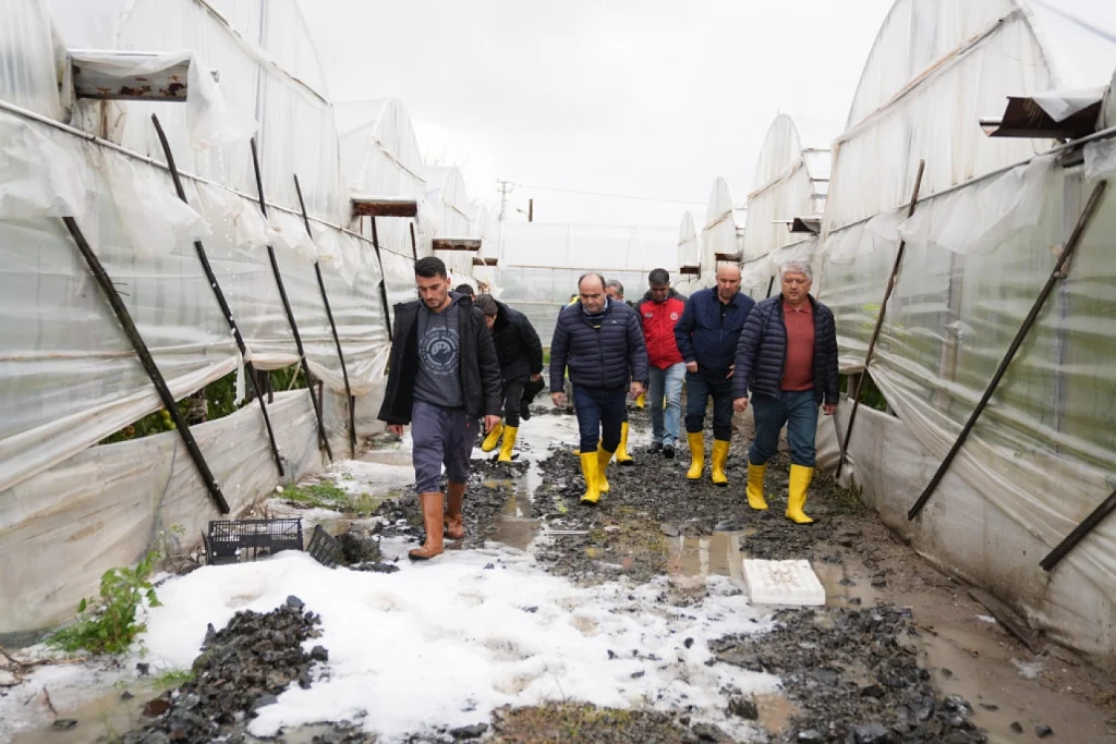 on-site inspections in the damaged greenhouse areas.