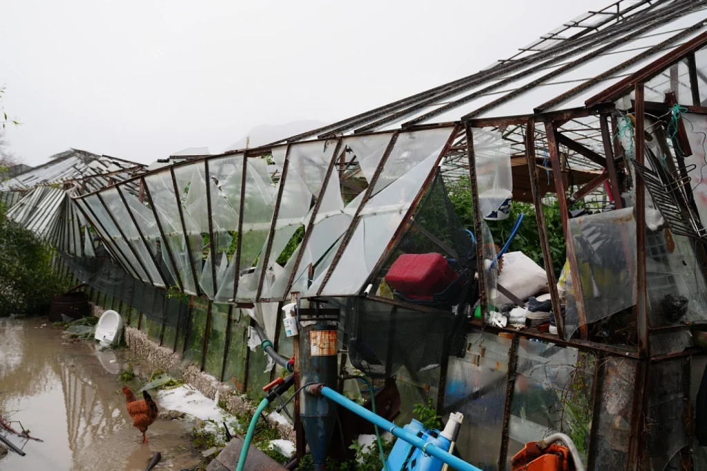 greenhouses damaged