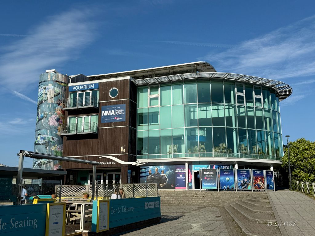 Discover the Magic of the National Marine Aquarium, Plymouth