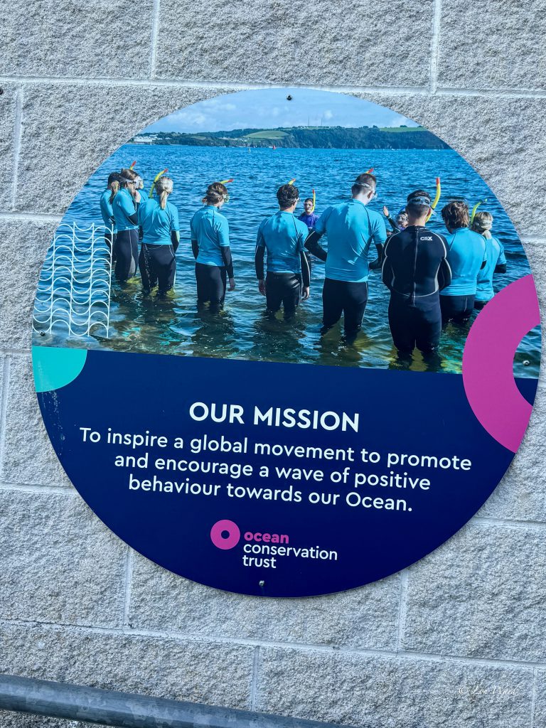 Discover the Magic of the National Marine Aquarium, Plymouth