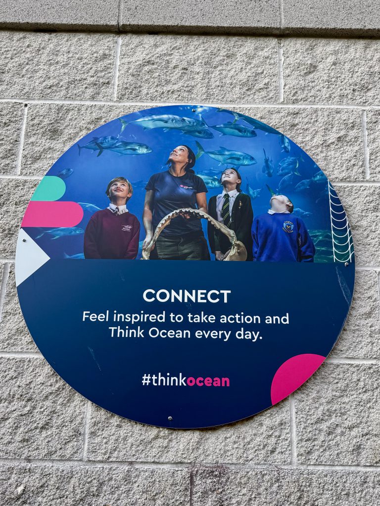 Discover the Magic of the National Marine Aquarium, Plymouth