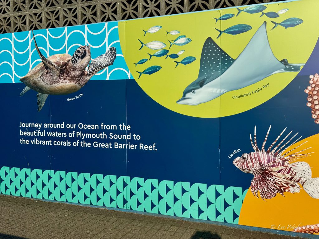 Discover the Magic of the National Marine Aquarium, Plymouth