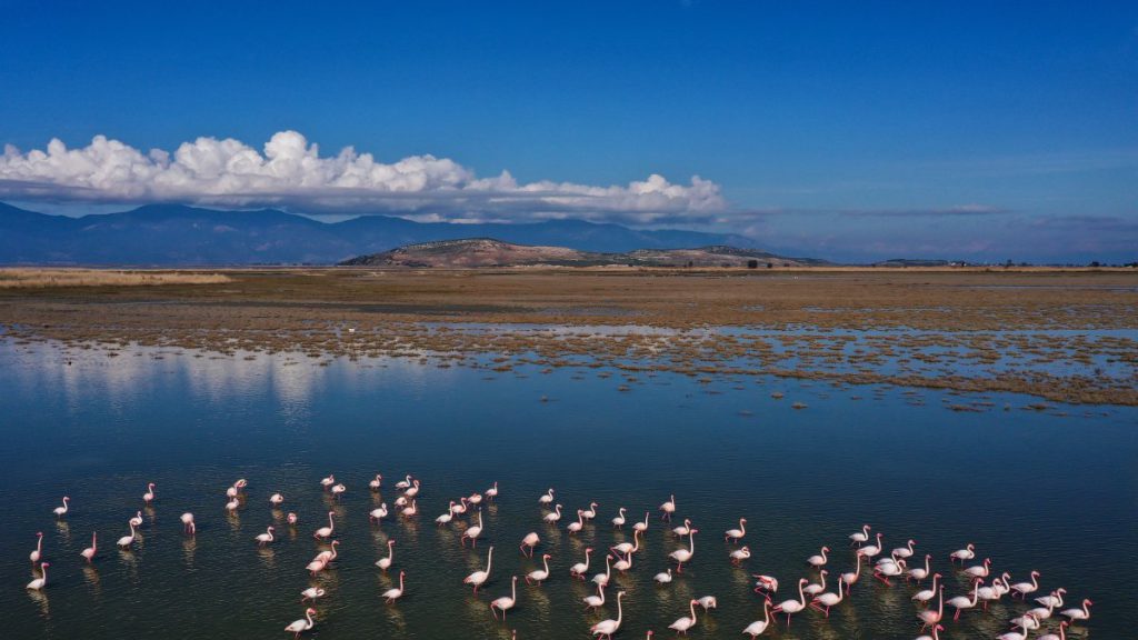 Turkey’s Vanishing Wetlands Raise Alarm Over Drought and Biodiversity Loss