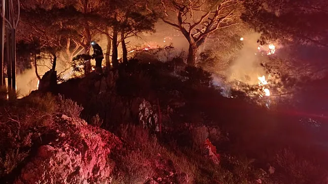 Forest Fire in Bodrum Brought Under Control