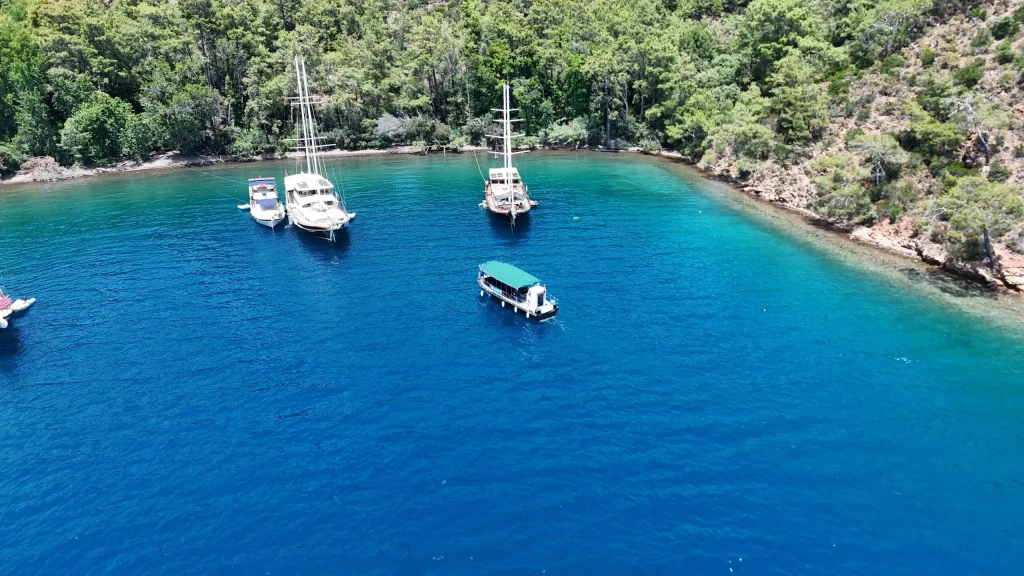 Council of State Suspends Coastal Plan for Aydın and Muğla