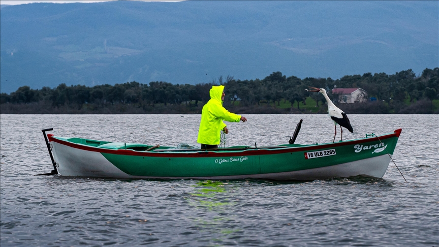 Beloved Stork Yaren Returns to Bursa for 15th Year
