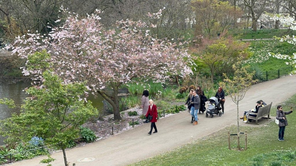 Spring arrives in London
