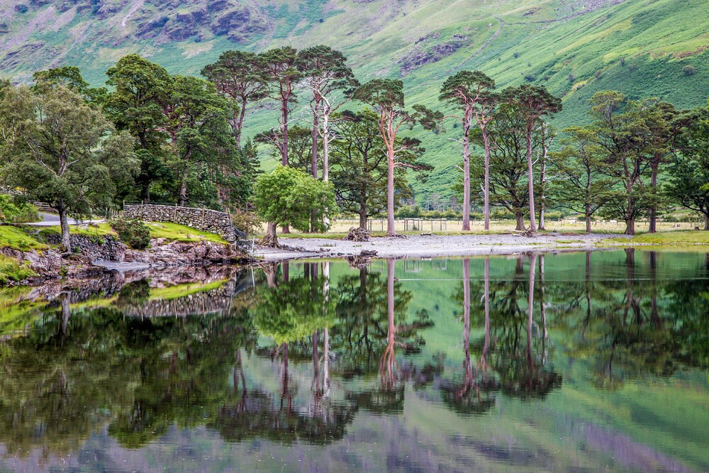 Buttermere Reflections