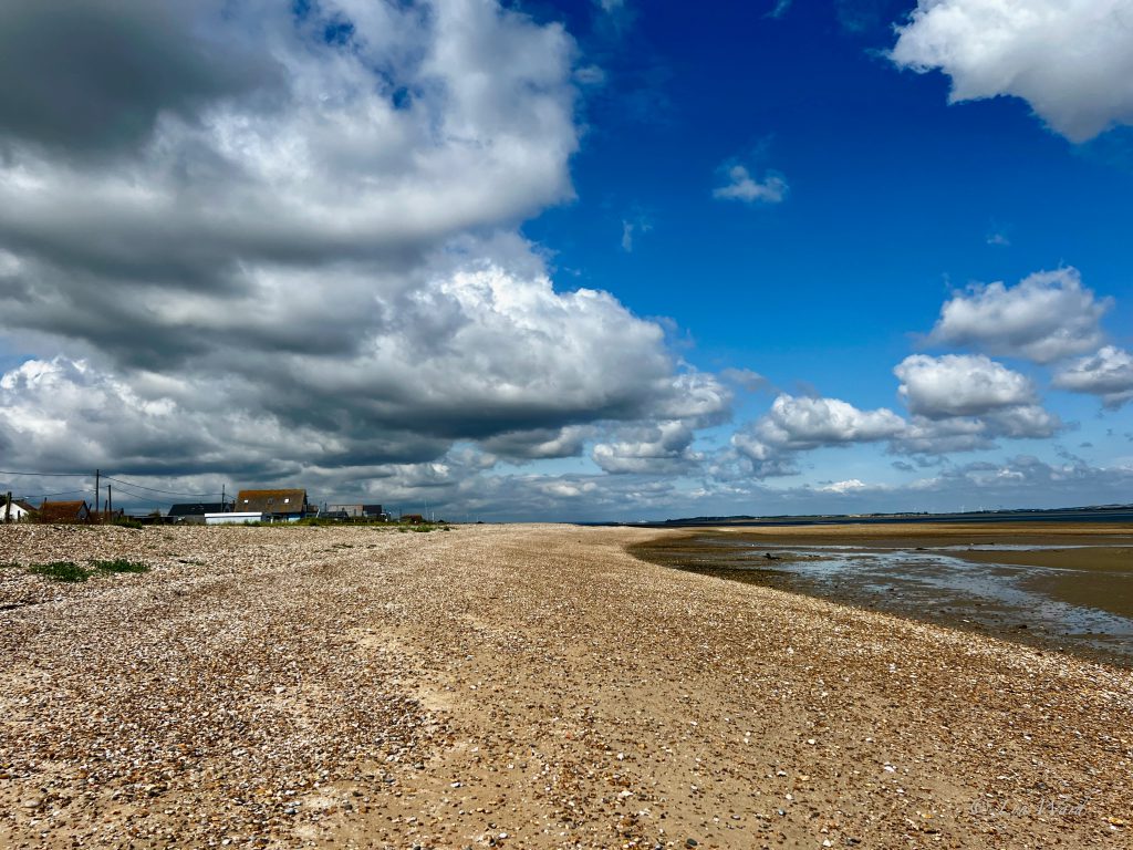 Whitstable: Oysters, Art & Seaside Charm on Kent’s Coast