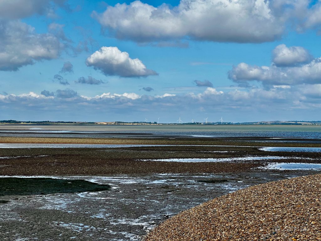 Whitstable: Oysters, Art & Seaside Charm on Kent’s Coast