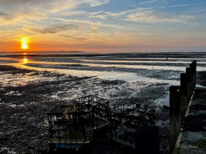 Whitstable: Oysters, Art & Seaside Charm on Kent’s Coast