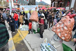 The 15th Yeşilüzümlü Dastar and Morel Mushroom Festival Welcomes Visitors with Colourful Displays and Rich Traditions