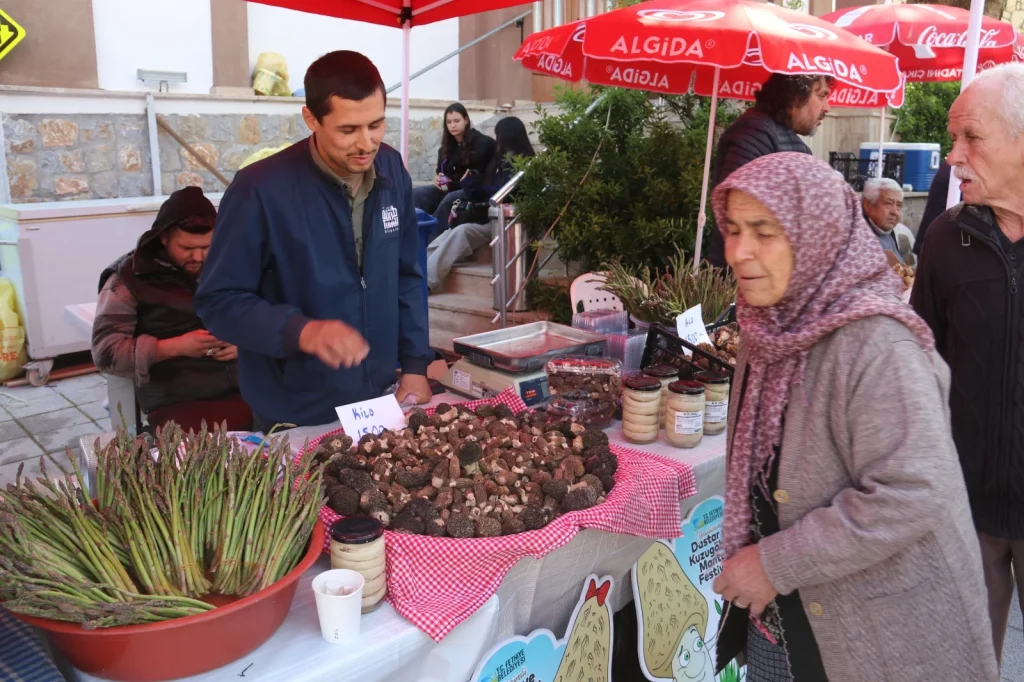 The 15th Yeşilüzümlü Dastar and Morel Mushroom Festival Welcomes Visitors with Colourful Displays and Rich Traditions