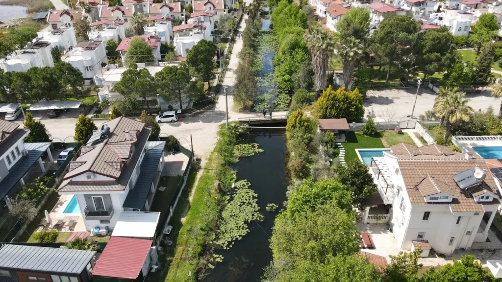 Water Lily Stream Goes Viral as Visitors Flock to Çiftlik Mahallesi