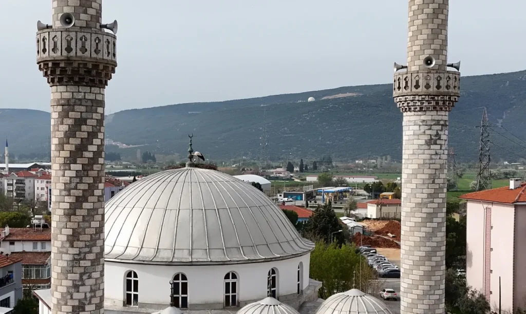 Menteşe’s Loyal Storks Return as 30-Year Tradition Continues