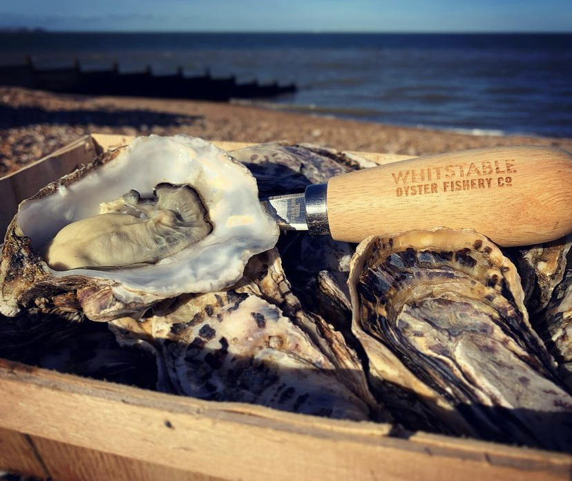 Whitstable Oysters