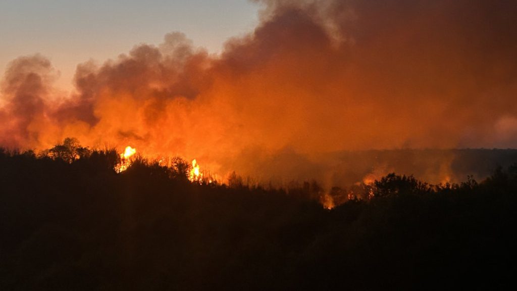 Forest Access Ban for 2026 Fire Season