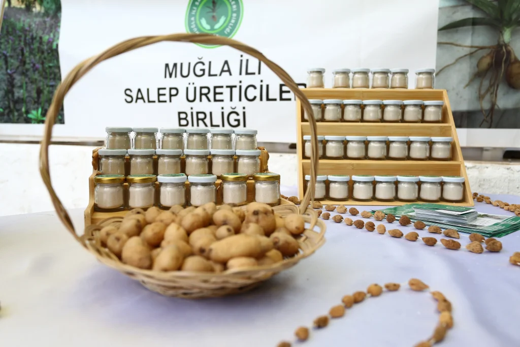 Salep Harvest Celebrated on World Farmers’ Day in Yatağan
