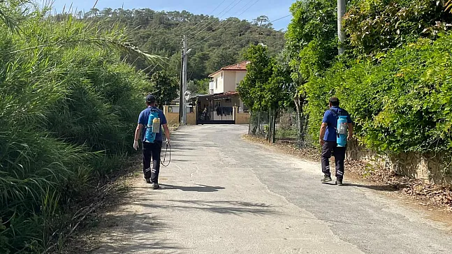 Intensive Mosquito Control Efforts Underway in Fethiye from Karagedik to Göcek