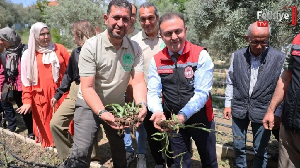 Salep Harvest Celebrated on World Farmers’ Day in Yatağan